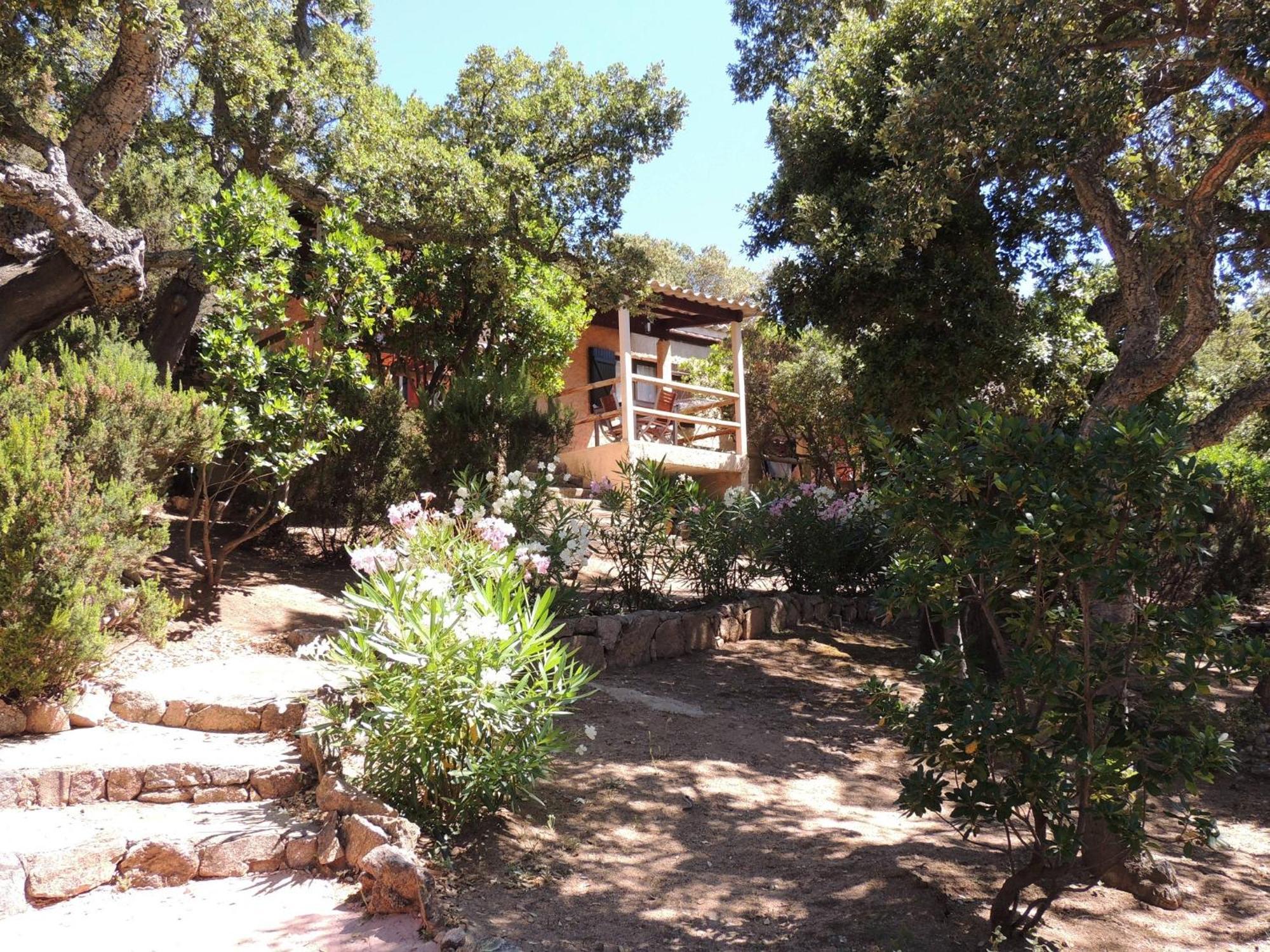 Bungalows Du Maquis Porto-Vecchio  Rum bild